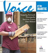 Voice of the Diabetic, Winter 2007 cover art
