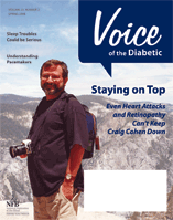 Voice of the Diabetic, Spring 2008 cover art