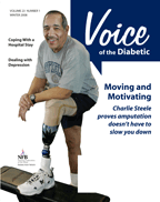 Voice of the Diabetic, Winter 2008 cover art