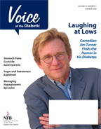 Cover of the Summer 2008 edition of the Voice 