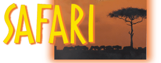 Safari with picture of the horizon.