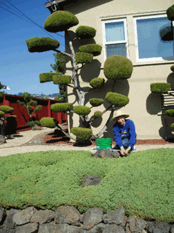Pat Munson at work in her garden