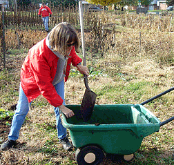 Barbara Loos shovels manure from a wheelbarrow.