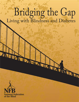 The image under the book title is a silhouette of a suspension bridge with a man holding a white cane standing at the center of the span.
