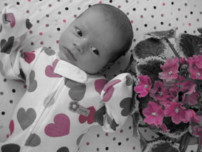 Marley Jane Rupp