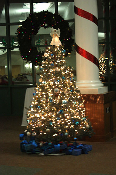 The National Center for the Blind Christmas tree stands in front of the large window in Members Hall.