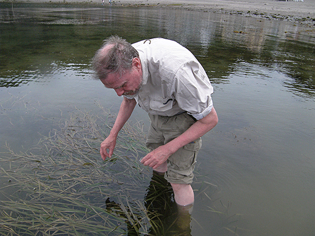 Geerat Vermeij on a rocky beach with seaweeds and seagrasses at Misaki Marine Biological Station in Japan.
