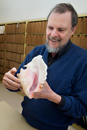 Geerat J. Vermeij smiles as he examines a large shell.