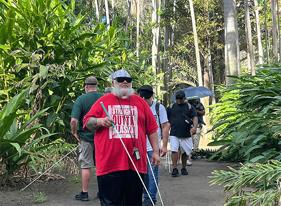 Students walk along a botanical path surrounded by lush greenery and tall trees.