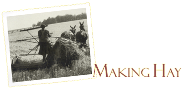 Making Hay Cover