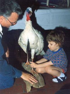 This little boy examines one of the many stuffed animals on display at the NFB Convenmtion Sensory Safari exhibit.