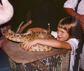 Kyra Sweeney enthusiastically examines a stuffed snake at a Sensory Safari display.