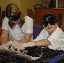 Mary Jo Thorpe and Nathan Clark, MD, experiencing �hand thinking� under sleepshades during the 2005 Circle of Life Science Academy. As Thorpe explains, through the use of touch, Clark is able to learn so much more than what an audible description can provide.