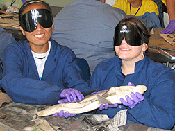 �Yuck!� might have been these young women�s first reaction to the news that they would learn how to independently do a shark dissection at the Youth Slam, but these proud smiles show the importance of raising the bar of expectations, and providing challenging experiences in science.