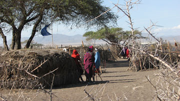 Maasai men and women stand and talk beside their homes, guarded by their village�s thorn fence. The top of their heads is at the level of the flat roofs. (Photo by Steve Pastor from Wikimedia Commons.)