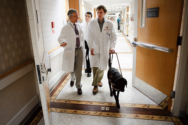 Psychiatry resident Dr. Tim Cordes, walking with his guide dog in a hospital corridor, talks with a physician and a medical student as the group does a morning round of patients. [Photo courtesy of photographer Jeff Miller/UW-Madison]