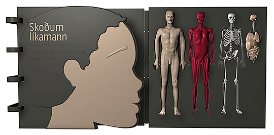 The inside back cover of Discover the Body, showing four three-dimensional human figures that can be removed and examined.