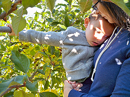Ivan holds onto the branch of a tree.