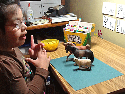 Grace Wallis counts a series of toy animals.