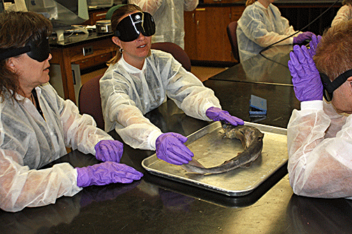 Two teens wearing sleepshades examine a dead shark before dissecting it.