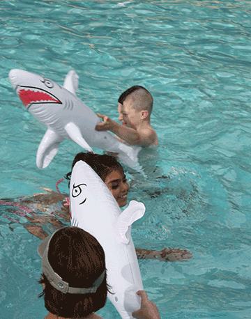 Two children play in the pool with inflatable sharks.