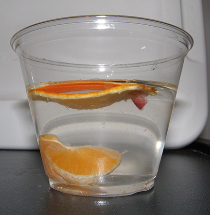 Orange sinks to the bottom of a cup of water while peel floats on top.