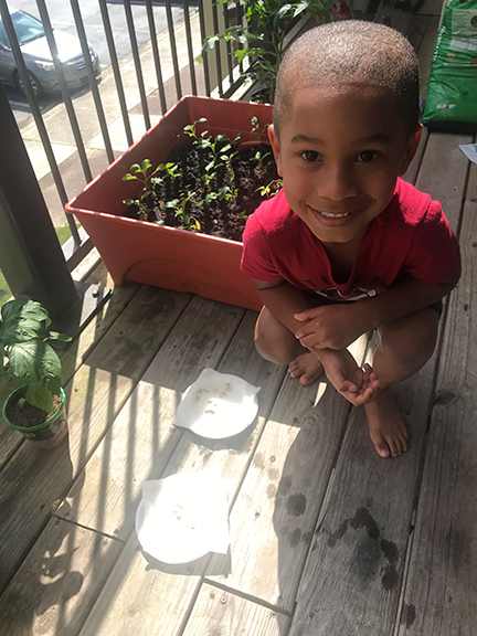 Kingston kneels beside his sunflower seeds. Read about Expect the Unexpected: Creating the 2020 BELL Academy In-Home Edition