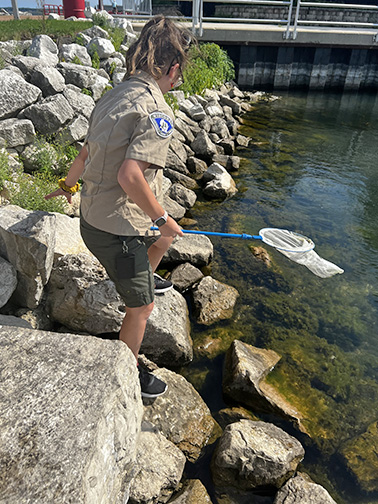 Olivia Cichowlas stands on a rock, holding a net.