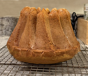 One of Jennifer�s home-baked cakes