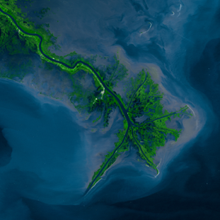 Shows 3D print of Mississippi Delta made from 2D photo taken by LandSat satellite.