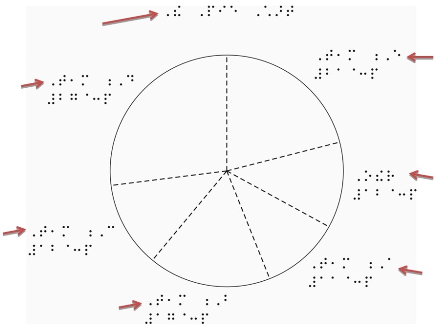 Tactile graphic of macro-drawn pie chart with the braille title and labels highlighted