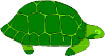An illustration of a green turtle on a white background.