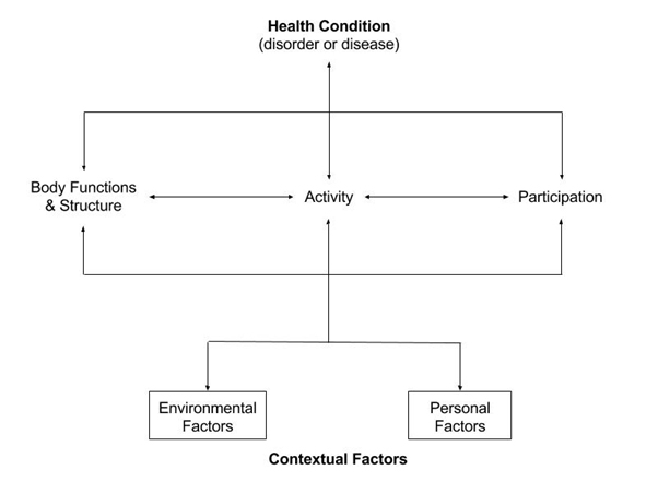 The figure illustrates how an individual’s participation in activities is influenced by a complex relationship between Body Functions and Structure, Contextual Factors in the form of environmental and personal factors and Health Condition as described through disorder or disease.