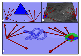 Figure 4 includes three pictures of the systems virtual display in use. In each of the three images the tracked finger position (displayed as cylinders for fingers and spheres for fingertips) is displayed with a digital object for interaction. The first image contains a simple 2D triangle with tracked fingers, the second image contains heightmap data and fingers (a topographical map of the surface of the moon) and the final picture incudes a 3D object known as a torus that displayed as a wireframe mesh.