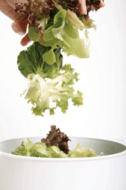 Salad