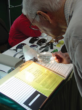 A senior tries the Big Eye Magnifying Lamp and LAP DESK™ during the senior fair.