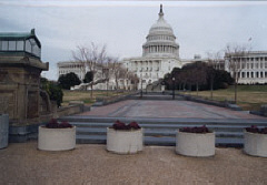 The United States Capitol