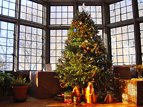 During the holiday season a decorated tree stands in the bay window of the BLIND, Inc., lunchroom. Originally this bay was a conservatory filled with plants. It was part of the Pillsburys&rsquo; dining room.