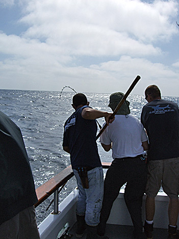 Gordon reels the tuna in, while Alex holds the net ready to pull it on deck.