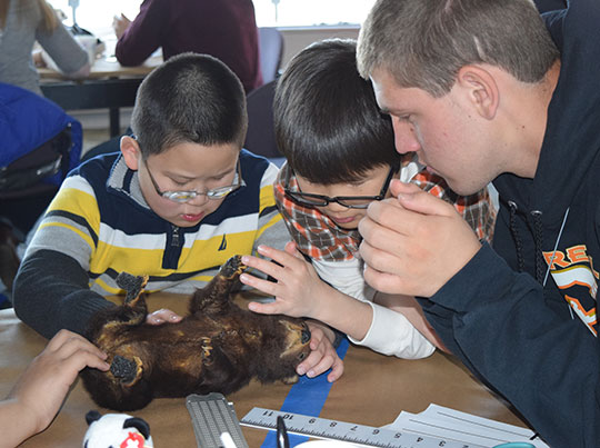 Alan Quan, Alex Brown, and Jack Veliquette examine a taxidermied bear cub.