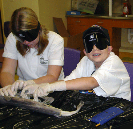 Middle school student Nathan Clark of Maryland dissects a shark under the supervision and guidance of blind instructor, Mary Jo Thorpe. The dissections are part of the curriculum of the Circle of Life Science Academy, a summer program for blind students sponsored by the NFB Jernigan Institute in Baltimore, Maryland. Students and staff are required to use sleepshades during the activity for safety reasons and to demonstrate the effectiveness of nonvisual techniques. Thorpe, who has low vision, is a mentor and a role model as well as an instructor for the students with partial sight (such as Clark) in the program.