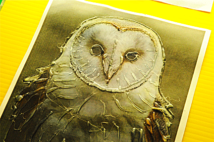 Hot glue turns the photograph of an owl into a tactile image 