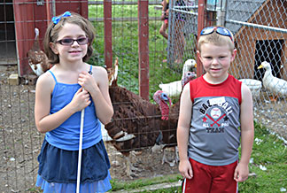 Two kids stand in a farmyard with pens of ducks and turkeys.