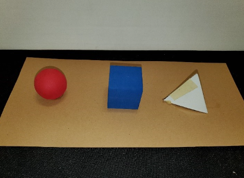 3 three-dimensional objects each glued onto the same chipboard base. The objects are evenly spaced on the board, a few inches apart. The point of view is slightly elevated from the plane of the base. From left to right, the objects are as follows: A red foam sphere approximately 1” in diameter, a blue foam cube with an edge length of approximately 1”, and a triangular pyramid (regular tetrahedon) constructed from cardstock with each edge having a length of approximately 1”. One face of the cube is attached, as is one face of the pyramid.