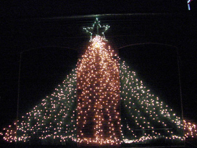 The shape of an evergreen tree picked out in vertical strings of lights reaches from the floor of the Skydeck to the roof of the building. A two foot star adorns the tip of the tree.
