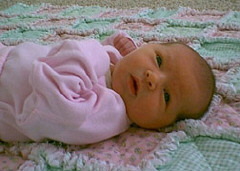 The newest member of the Palmer family, Lauren