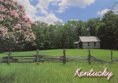 A field in Kentucky.