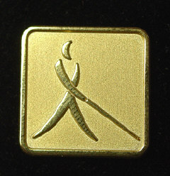 Square Whozit pin, gold or silver, $10; gold and enamel, $15