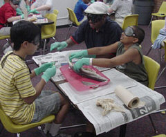 Students dissect a shark at the Maaryland Science Center.   Left to right: Andrew Wai, Adult mentor Paul Howard, and Jordan Richardson.