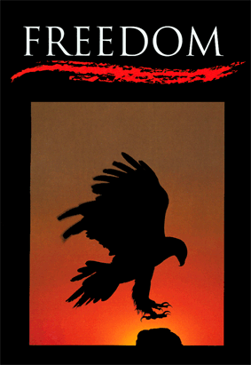 Freedom; An eagle prepares to land on the cover of this, the 30th, Kernel Book. Copyright John Giustina, Getty Images